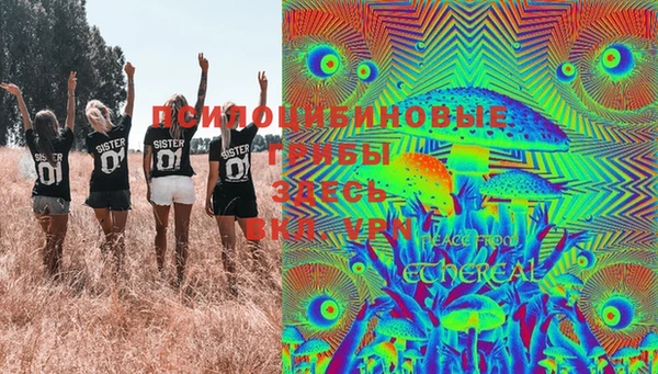 2c-b Арсеньев