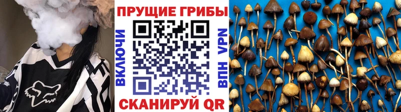 Галлюциногенные грибы ЛСД  Чапаевск 