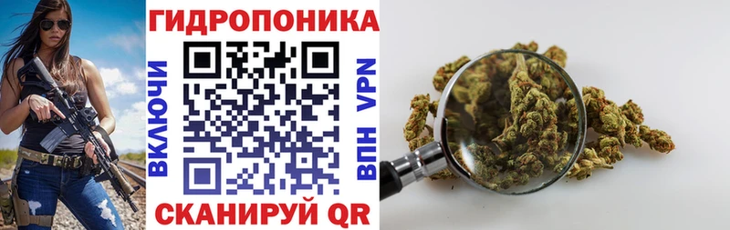 Каннабис Bruce Banner  купить наркотик  MEGA как войти  Чапаевск 